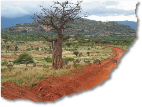 African safari route